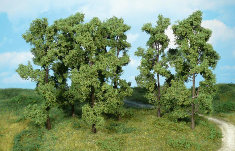 Alder Trees (6) 18cm