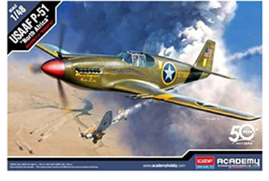 1/48 P-51 USAAF 