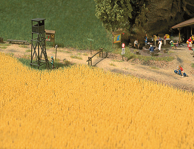 Wheat Field