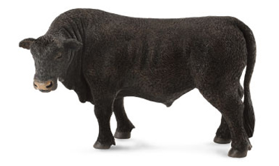 Black Angus Bull