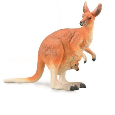 Red Kangaroo with Joey