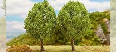 HO 2 Small Elm Trees