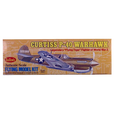 Curtiss P40 Warhawk 16 1/2