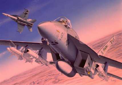 1/72 F/A18E S/Hornet