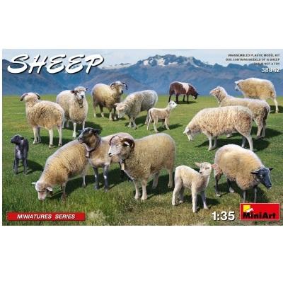 1/35 Sheep