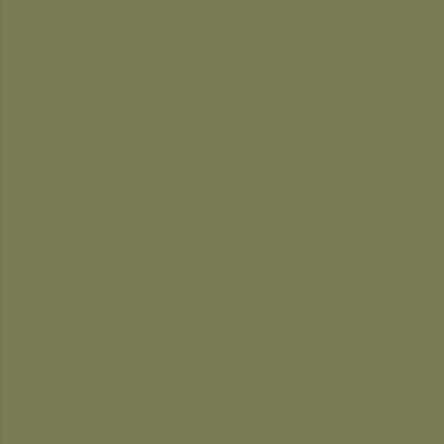 US Army Olive Drab Faded 1 FS34088 29ml