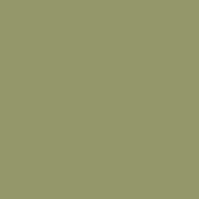 US Army Olive Drab Faded 2 29ml