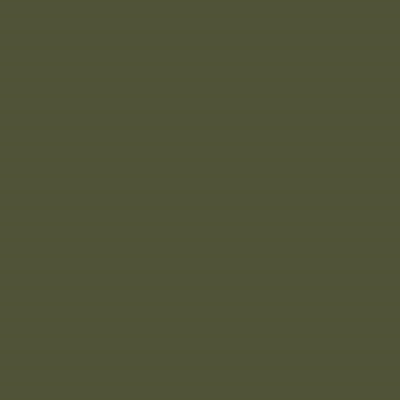 US Army Olive Drab FS 33070 29ml