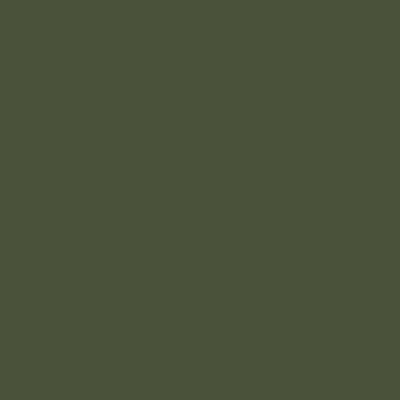 Russian Dark Olive FS 34102 29ml