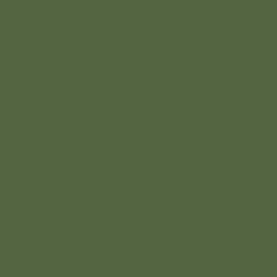 Russian Dark Olive 2 FS 34096 29ml