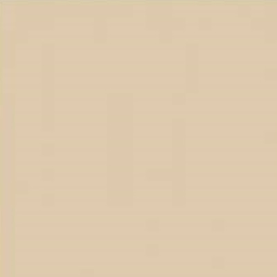Transparent Dust 29ml