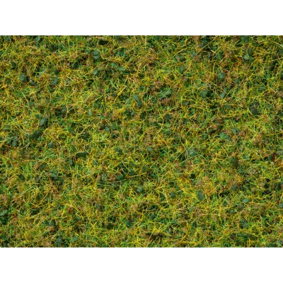 Master Grass Blend Cow Pasture, 2.5-6m