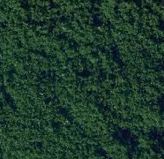 Flock, Dark Green Flock, Dark Green
