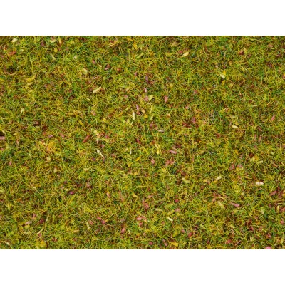 Scatter Grass Flower Meadow 2.5mm
