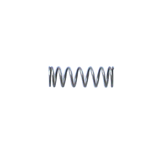 Valve Spring (All Models)