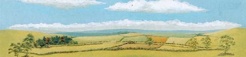 Country Landscape Medium 178mm x 559mm