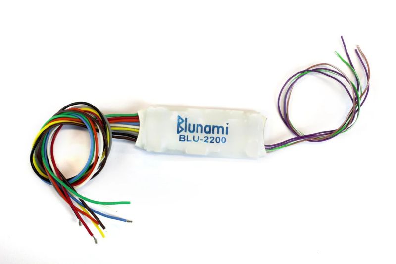 BLU-2200 Blunami Sound Decoder 2 Amp, Electric