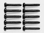 3 x 15 Tapping Screw (10)