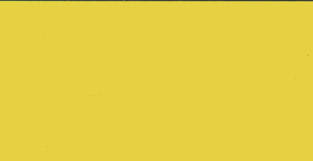 60ml Basic Yellow Premium colour