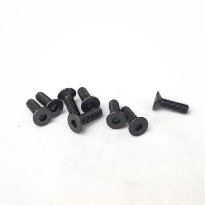 3x10 Flat Head Hex Screws (6)