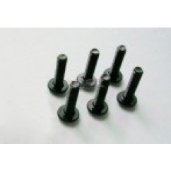 2x6 Round Head Self Tapping Hex Screws (6)