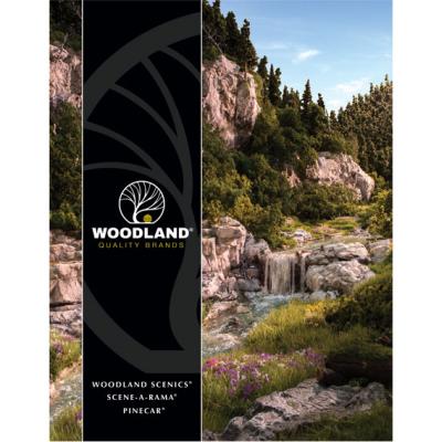 2019 Woodland Scenics Catalogue