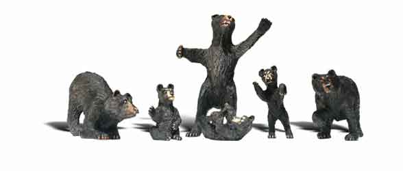 N Black Bears