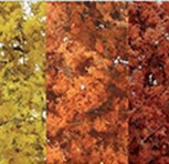 Fall Mix Fine Leaf Foliage