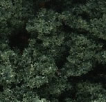 Dark Green Underbrush