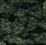 Dark Green Bushes