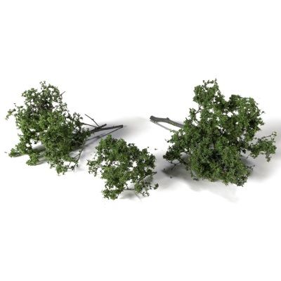 Spring Brambles