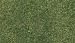 63.5 cm x 83.8 cm Green Grass Ready Grass Roll